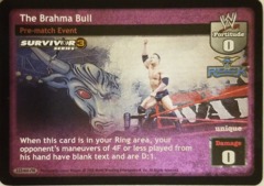 The Brahma Bull